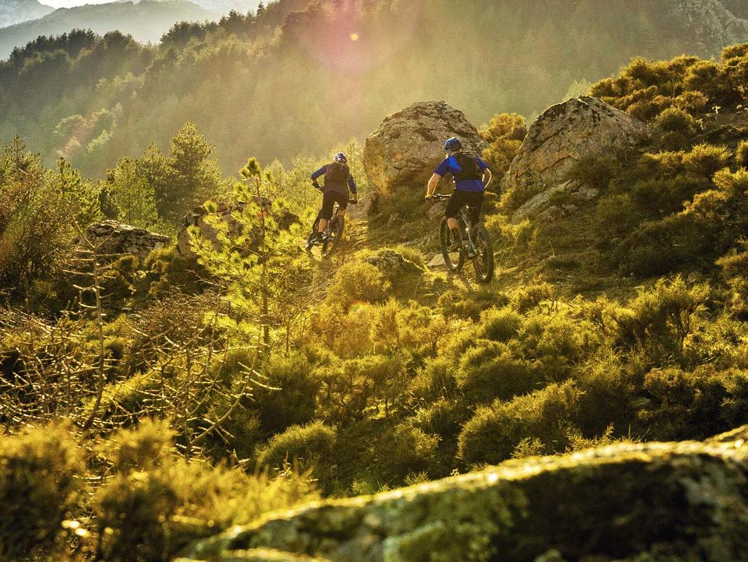 Newsletter-Anmeldung